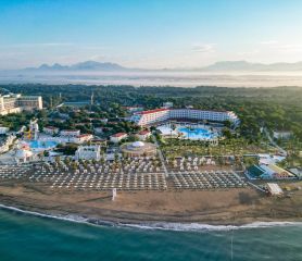 SELECTUM NOA BELEK